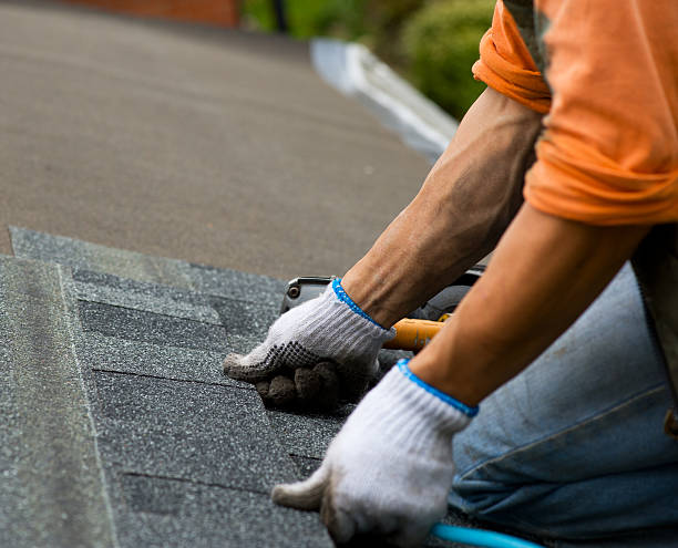 Best Roof Gutter Cleaning  in Robinson, IL